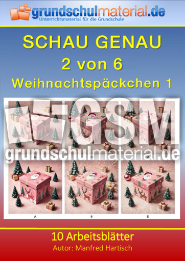 Weihnachtspäckchen_1.pdf